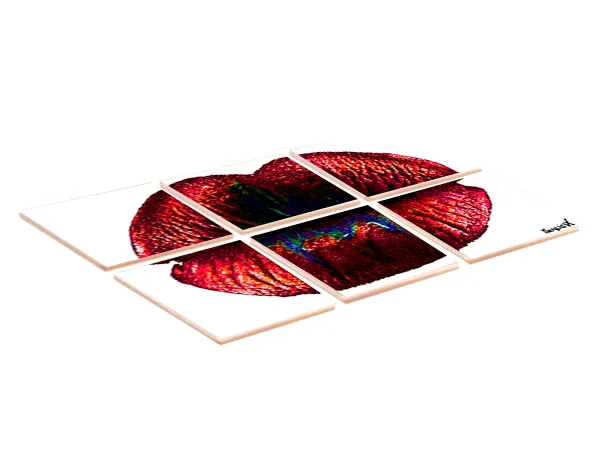 Lips Red White  6-1 Coaster - Image 4