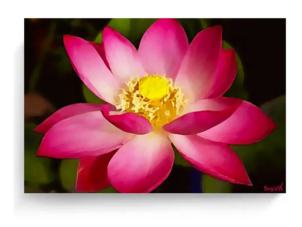 Pink Lotus On Metal