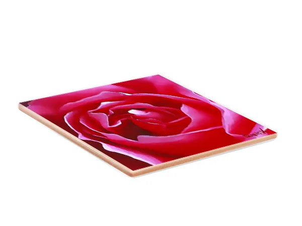 Pink Beauty Rose Single Coaster - Image 2