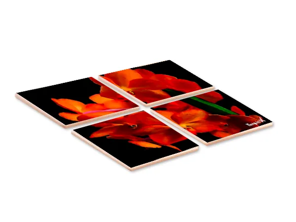 Orangeblossom 4-1 Coaster - Image 2