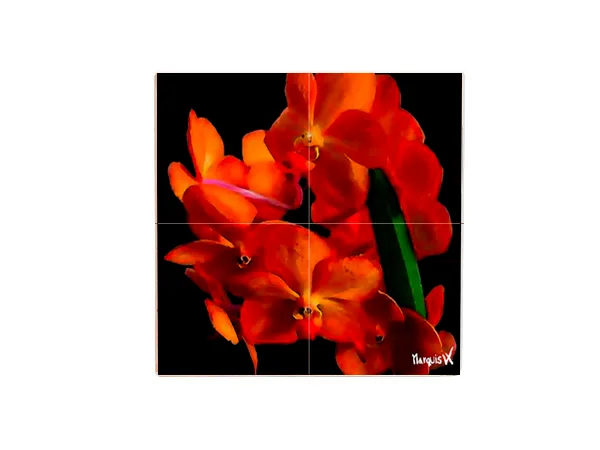 Orangeblossom 4-1 Coaster